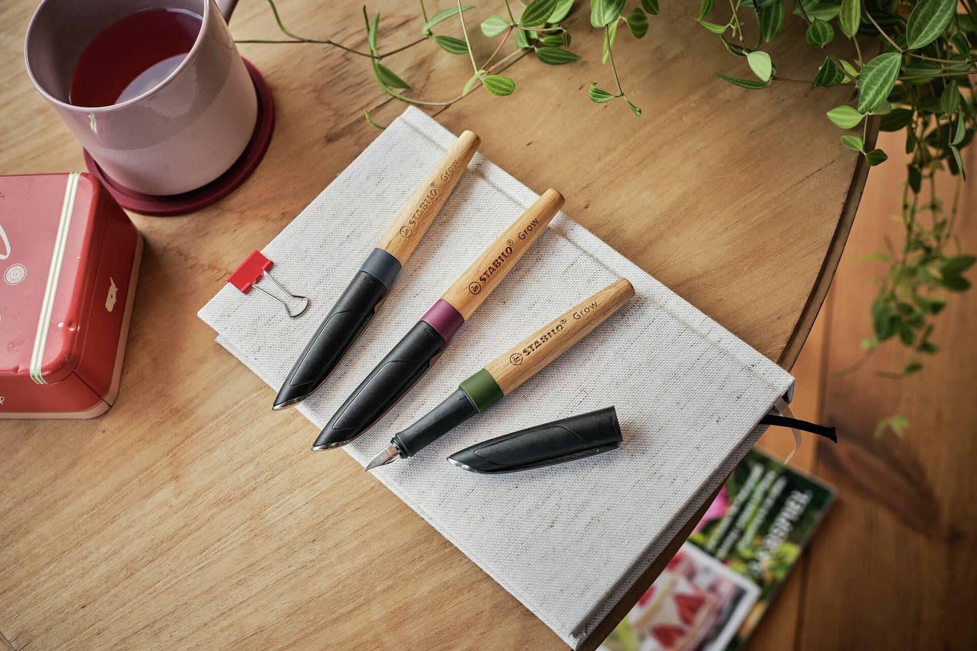 Fountain Pen STABILO Grow
